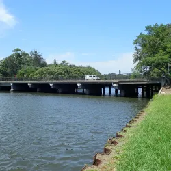 Cooks River - Bardwell Park