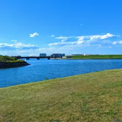 Cooks River - Bardwell Park