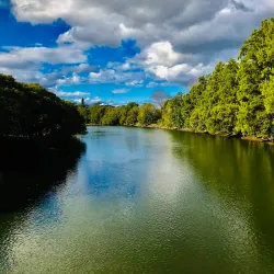 Cooks River - Bardwell Park
