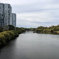Cooks River - Bardwell Park