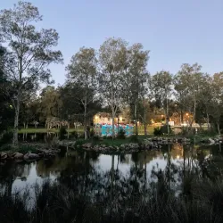 Cooks River - Bardwell Park