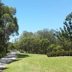 Cooks River - Bardwell Park