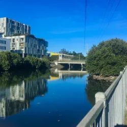 Cooks River - Bardwell Park