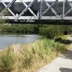 Cooks River - Bardwell Park