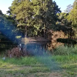 Rockdale Bicentennial Park - Bardwell Park