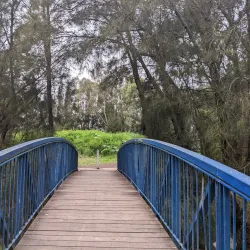 Rockdale Bicentennial Park - Bardwell Park