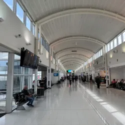 Sydney Airport - Bardwell Park