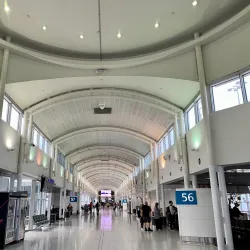 Sydney Airport - Bardwell Park