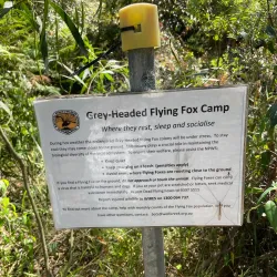 Wolli Creek Regional Park - Bardwell Park