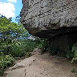 Wolli Creek Regional Park - Bardwell Park