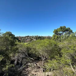 Wolli Creek Regional Park - Bardwell Park