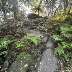 Wolli Creek Regional Park - Bardwell Park