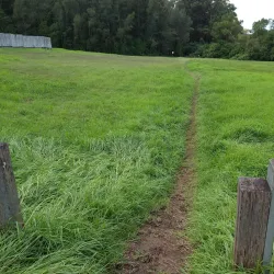 Wolli Creek Regional Park - Bardwell Park