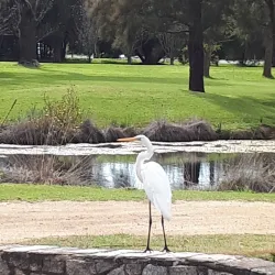Batemans Bay Golf Club - Batemans Bay