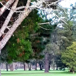 Batemans Bay Golf Club - Batemans Bay