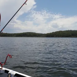 Clyde River - Batemans Bay