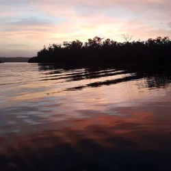 Clyde River - Batemans Bay