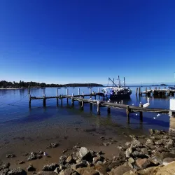 Clyde River - Batemans Bay