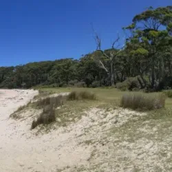 Depot Beach - Batemans Bay
