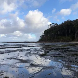 Depot Beach - Batemans Bay