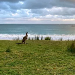 Depot Beach - Batemans Bay