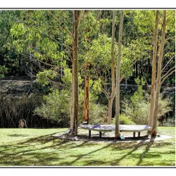 Eurobodalla Regional Botanic Gardens - Batemans Bay