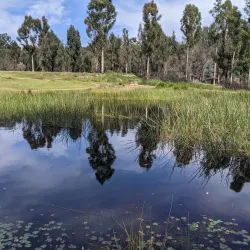 Eurobodalla Regional Botanic Gardens - Batemans Bay
