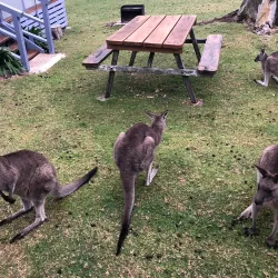 Murramarang National Park - Batemans Bay