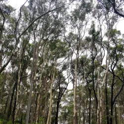 Murramarang National Park - Batemans Bay