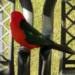 Murramarang National Park - Batemans Bay