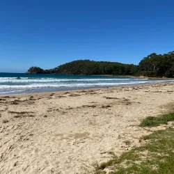 Surf Beach - Batemans Bay