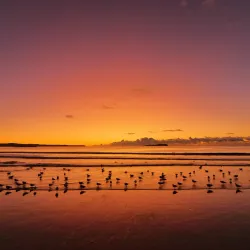 Surf Beach - Batemans Bay