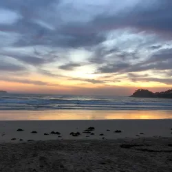 Surf Beach - Batemans Bay