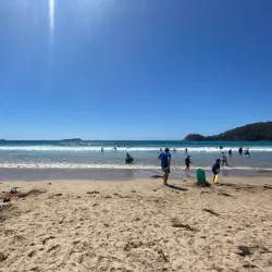 Surf Beach - Batemans Bay