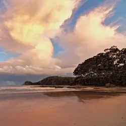 Surf Beach - Batemans Bay
