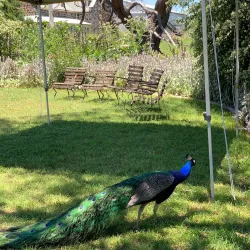 Abercrombie House - Bathurst