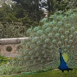 Abercrombie House - Bathurst