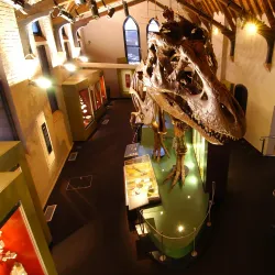 Australian Fossil and Mineral Museum - Bathurst