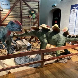 Australian Fossil and Mineral Museum - Bathurst