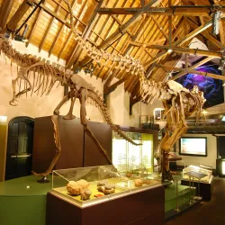 Australian Fossil and Mineral Museum - Bathurst