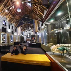 Australian Fossil and Mineral Museum - Bathurst