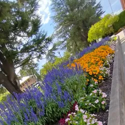 King's Parade Park - Bathurst