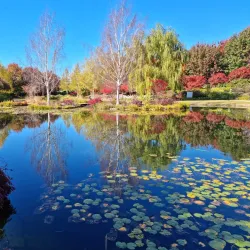 Mayfield Garden - Bathurst