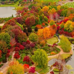 Mayfield Garden - Bathurst