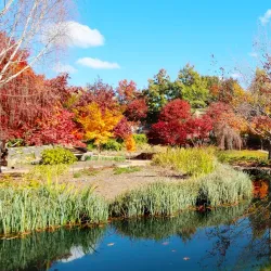 Mayfield Garden - Bathurst