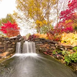 Mayfield Garden - Bathurst