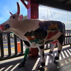 Bega Cheese Heritage Centre - Bega NSW