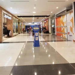 Bega Farmers Market - Bega NSW