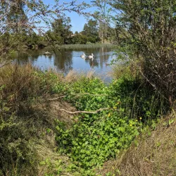 Bega River - Bega NSW
