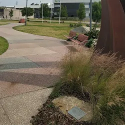 Bega Valley Botanic Gardens - Bega NSW